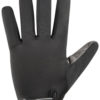 Cycling Gloves